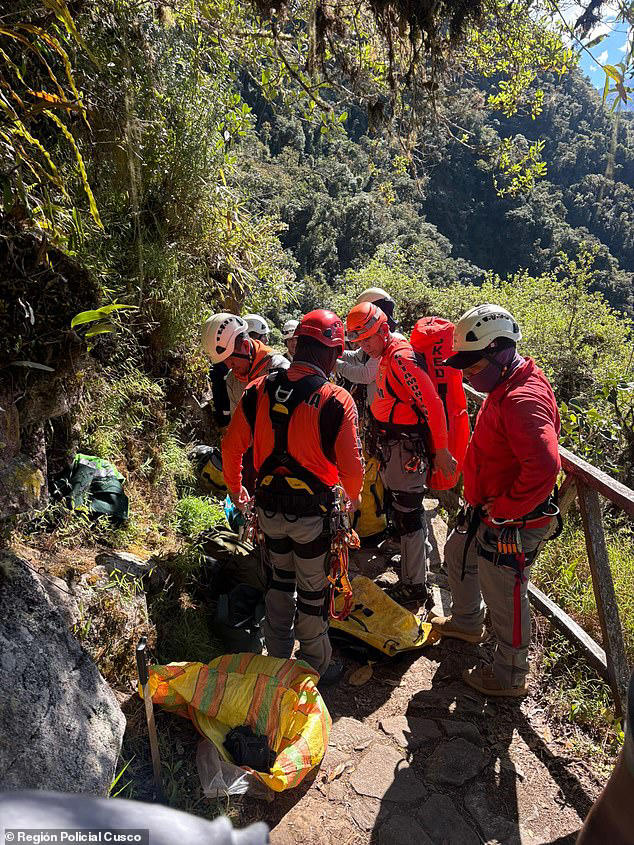 Australian man dies after falling through a damaged security barrier on ...