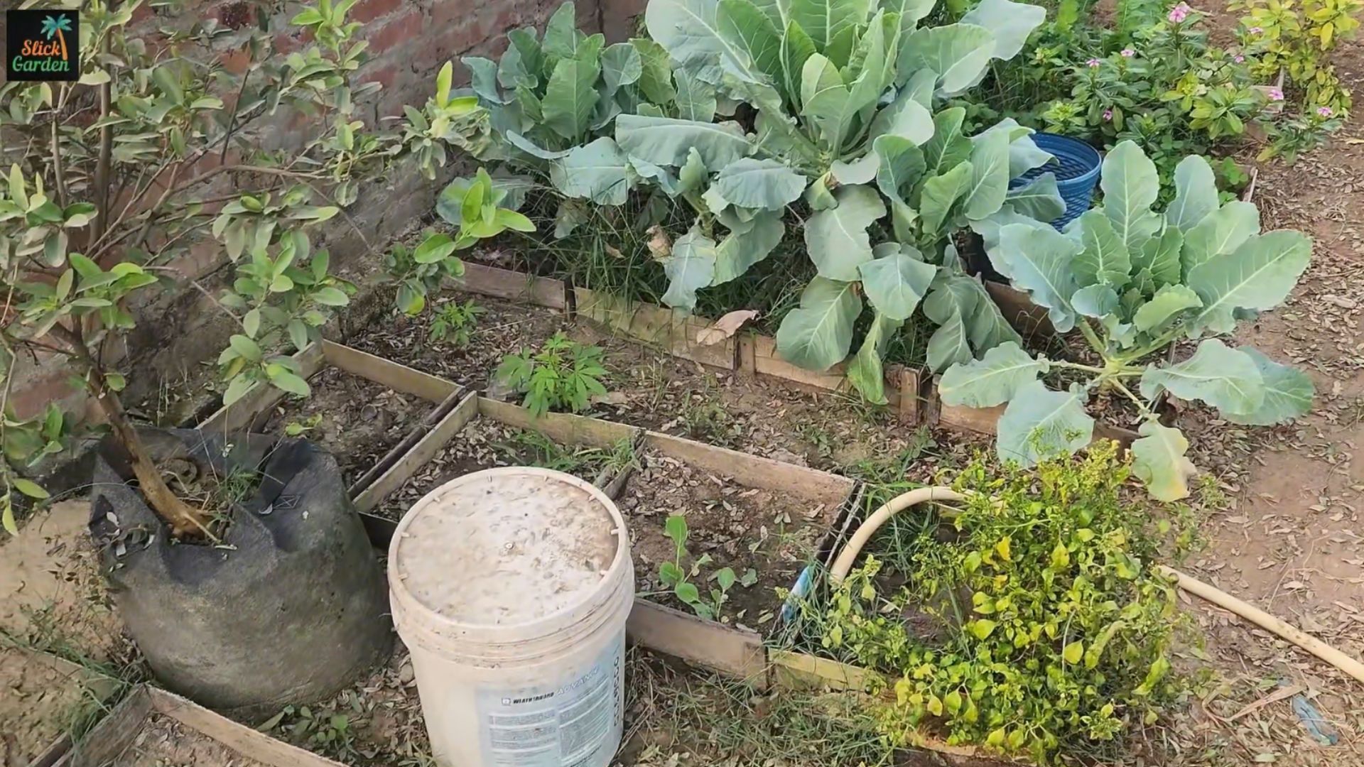 How to make biochar for garden soil: Step-by-step