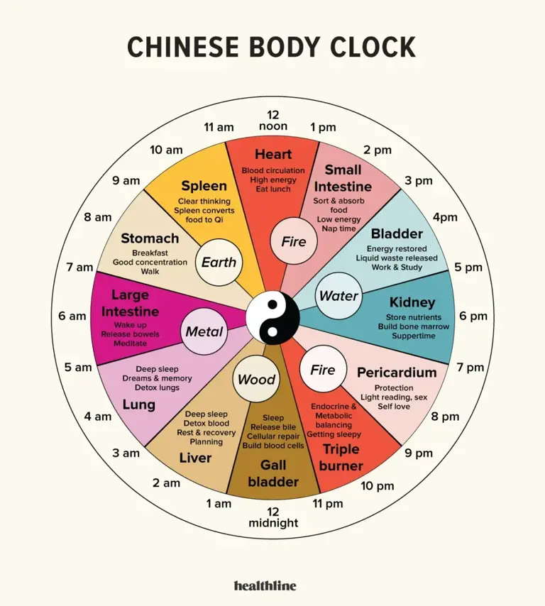 What is the Organ Clock Diet? Dissecting the secret to body’s peak ...