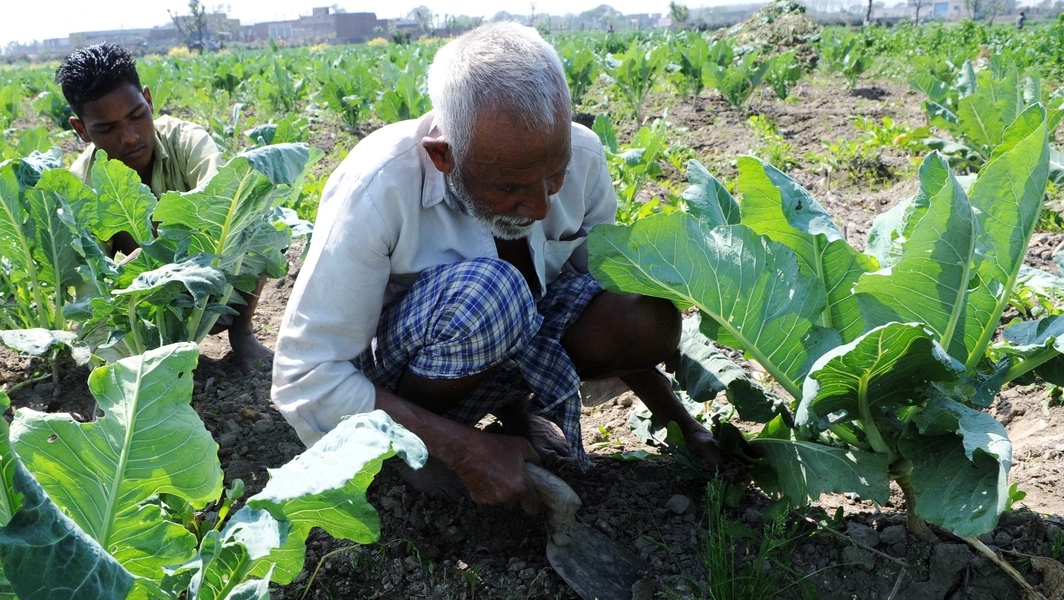 PM Modi awarded FAO's top Agricola Medal in Rome