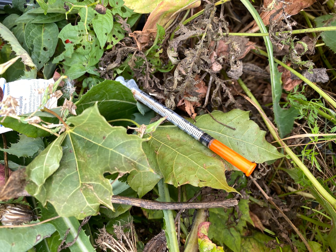 Main Street Project worries spike in Winnipeg overdoses will follow ...