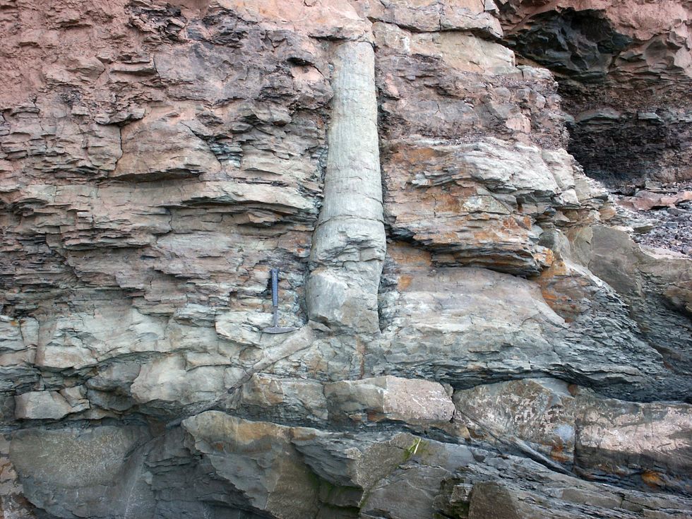Mysterious fossils found across America could prove Bible story is true ...