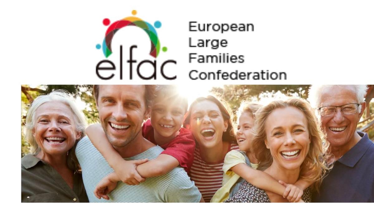 Familias Numerosas de Europa reclaman reconocer a la familia en los ...