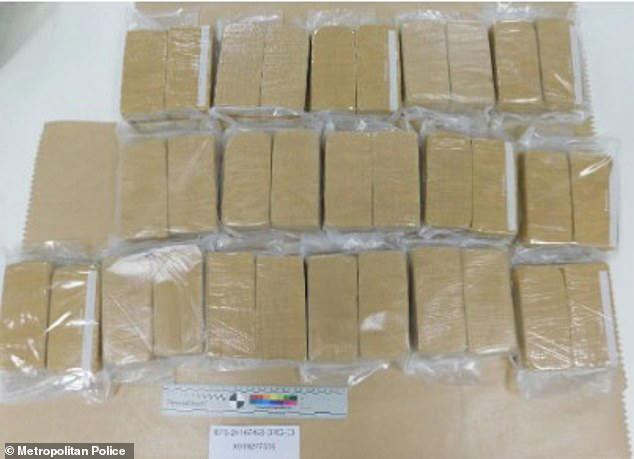 Police smash 'gigantic' £8m drugs ring bringing 30 kilos of cocaine and ...