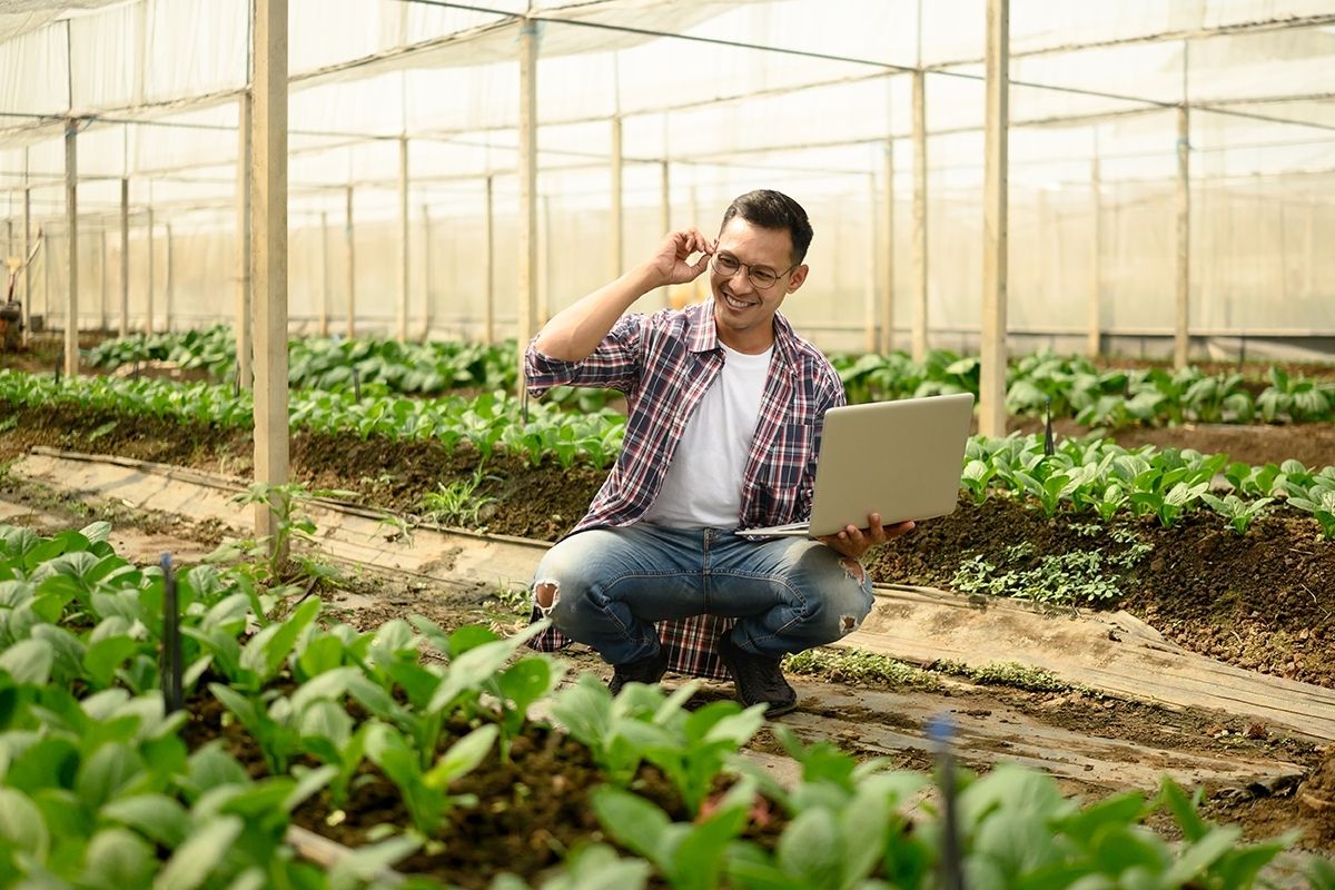 Agriculture Canadienne: La Technologie Augmente les Rendements