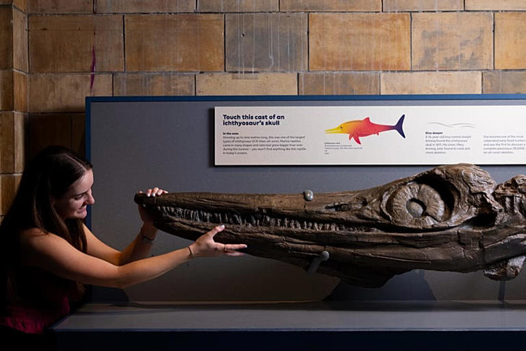 Danger in the deep: Prehistoric predators emerge at London's Natural ...