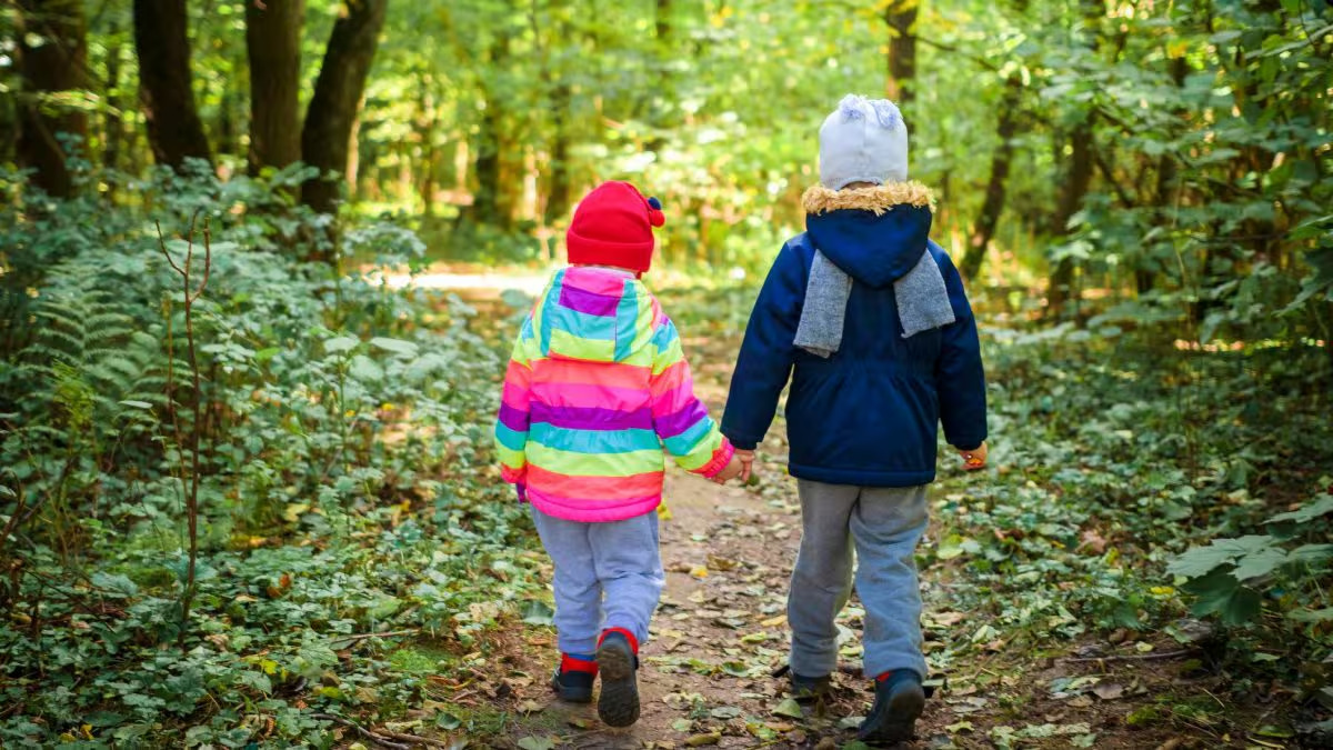 Fratellini di 5 e 3 anni trovati soli dopo ore nel bosco, "Mamma diceva ...