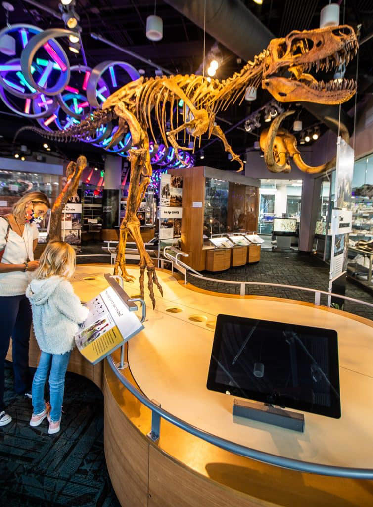 Things to do on a rainy day in Raleigh: 24 top indoor activities!