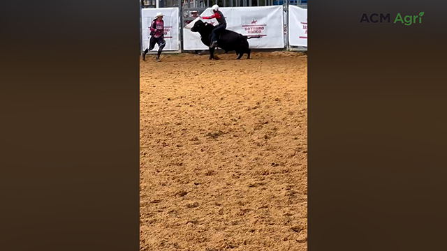 Aussie youth bull rider Jake Washband in action ahead of World Finals