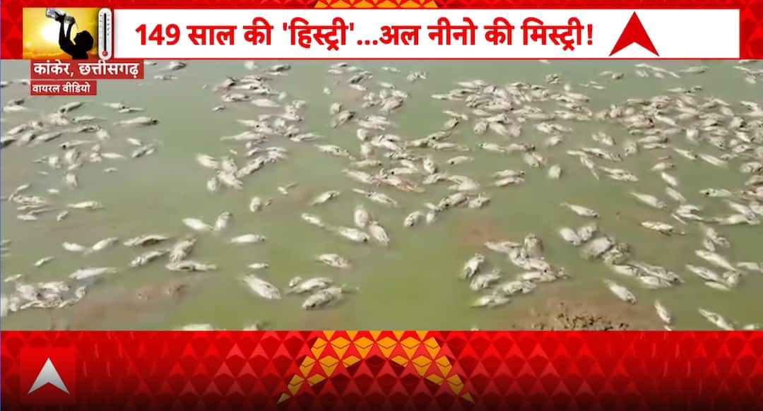 Climate alert: Super El Nino concerns rise as India faces extreme ...