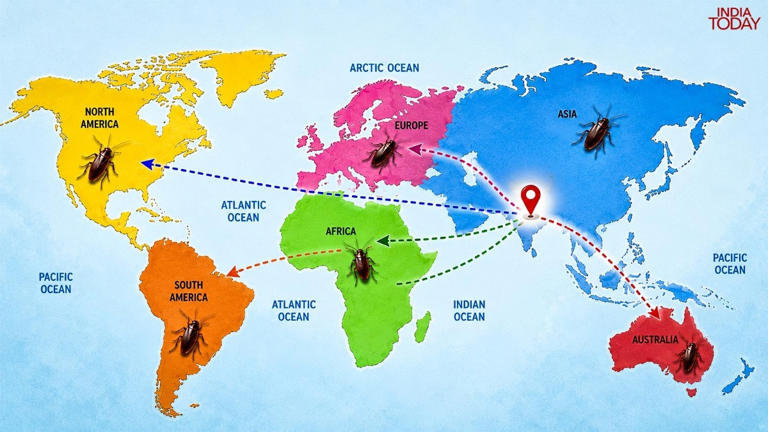 Cockroach Janata Party is a sequel. Cockroaches first left India 2,000 ...