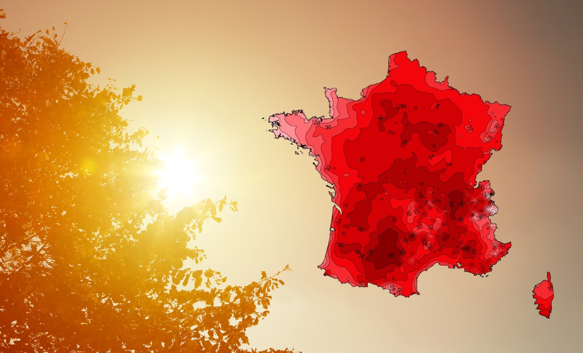 M t o Les Temp ratures Continuent De Grimper Ce Vendredi Voici Les 
