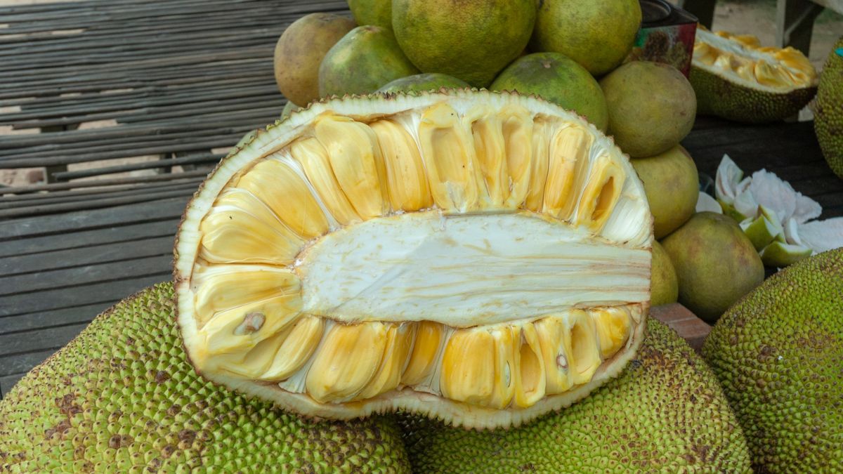 What is kathal called in English?
