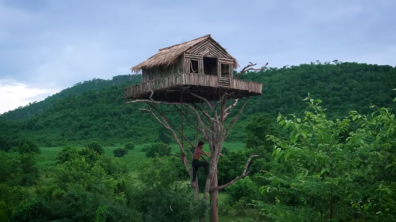 Bro climbed 12m up a tree… then built a house