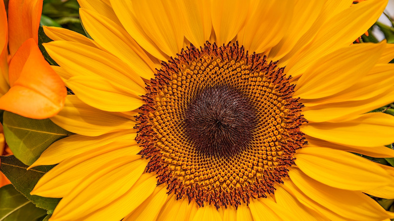 How to use content aware fill in Adobe Photoshop