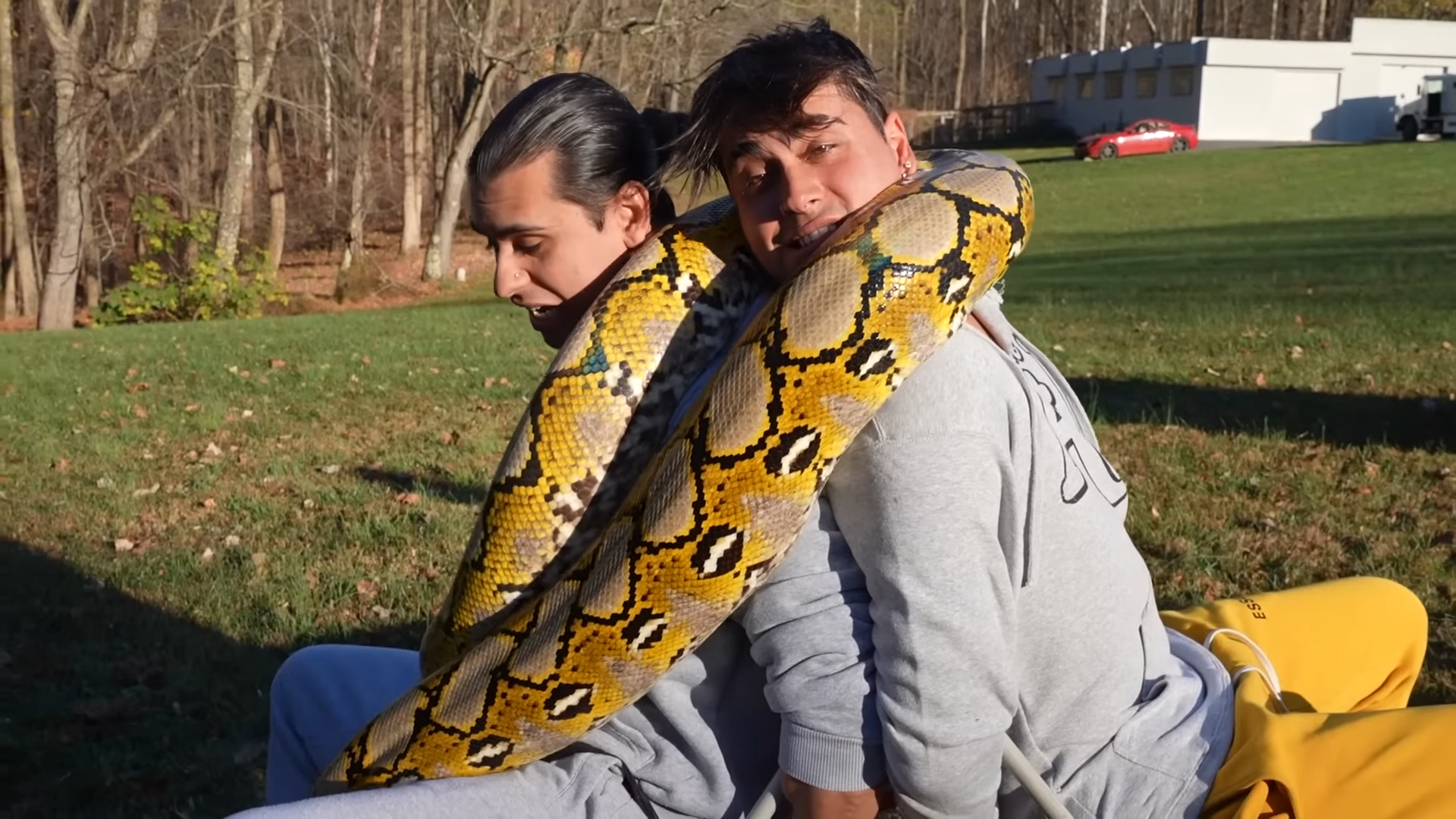 A massive snake squeeze shows just how powerful nature can be