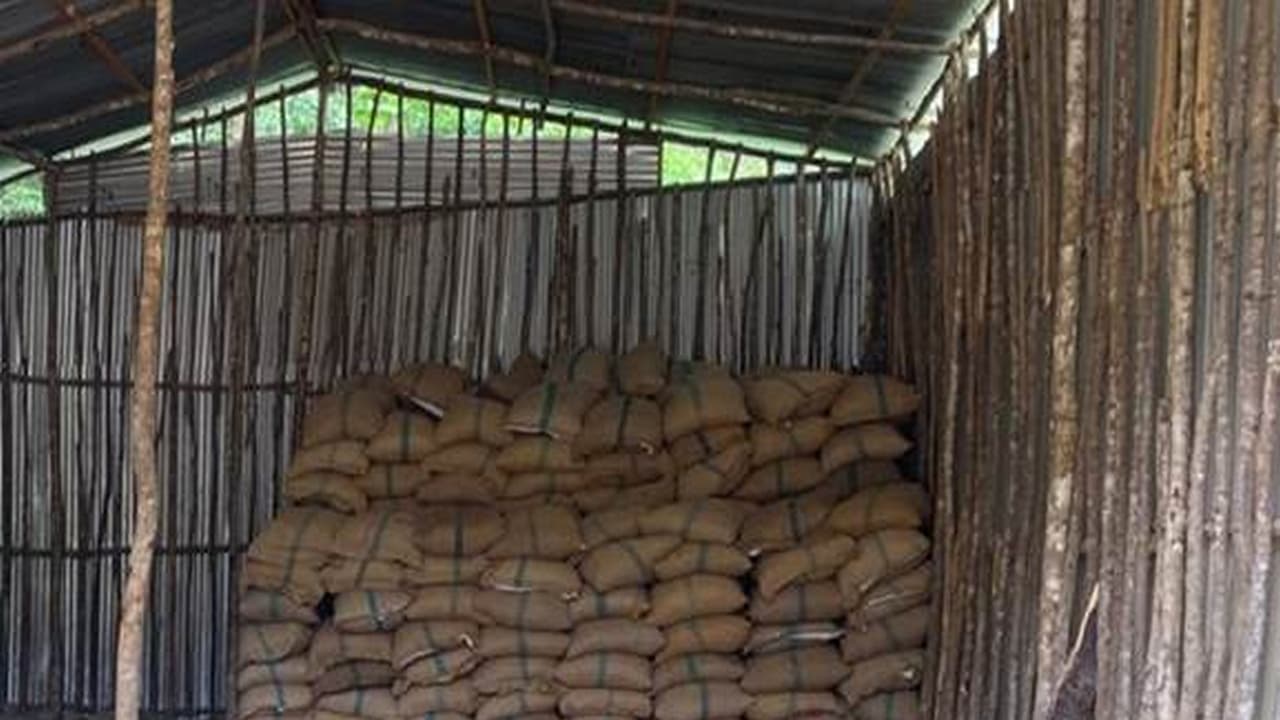 DRI seizes 60,000 kg of smuggled areca nuts in North-East India