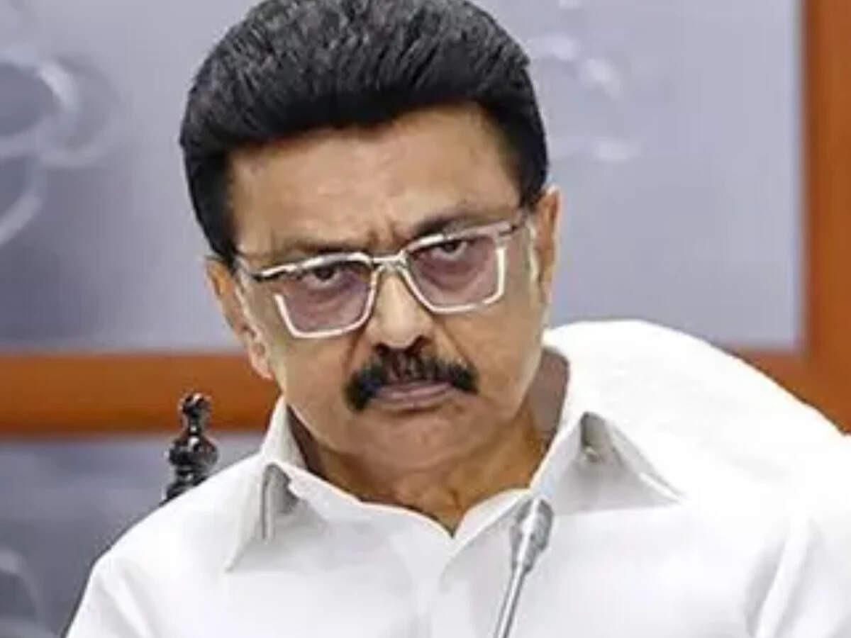 DMK's 'bent coconut tree' jibe draws retort from VCK; Stalin says 'don ...