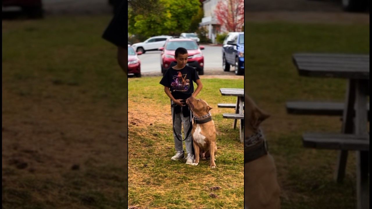 Like father like son with this young dog handler