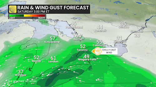 30-50 mm: Cold, heavy rain disrupts weekend plans in Ontario