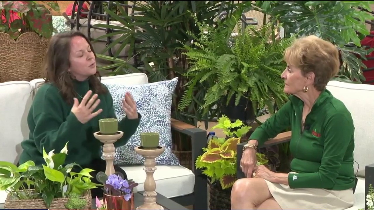 Pike Nursery shows how to merge nature with your patio