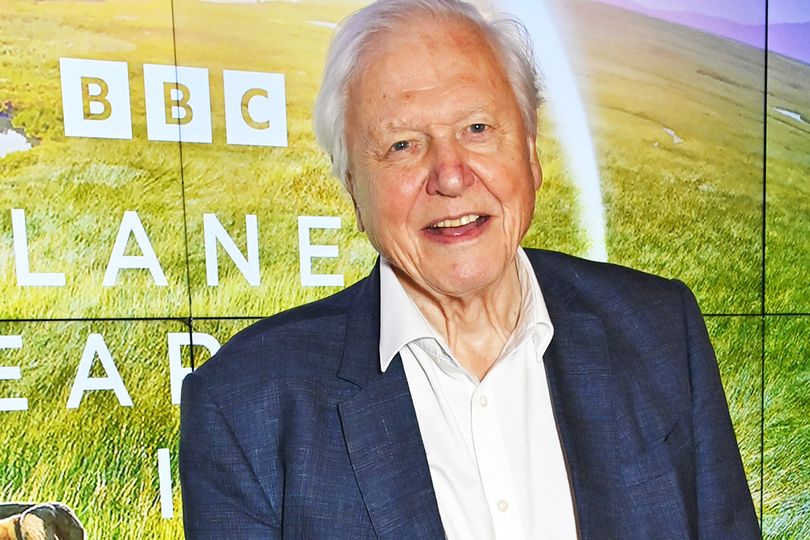 Netflix drops 'obscene' David Attenborough parody days after national ...