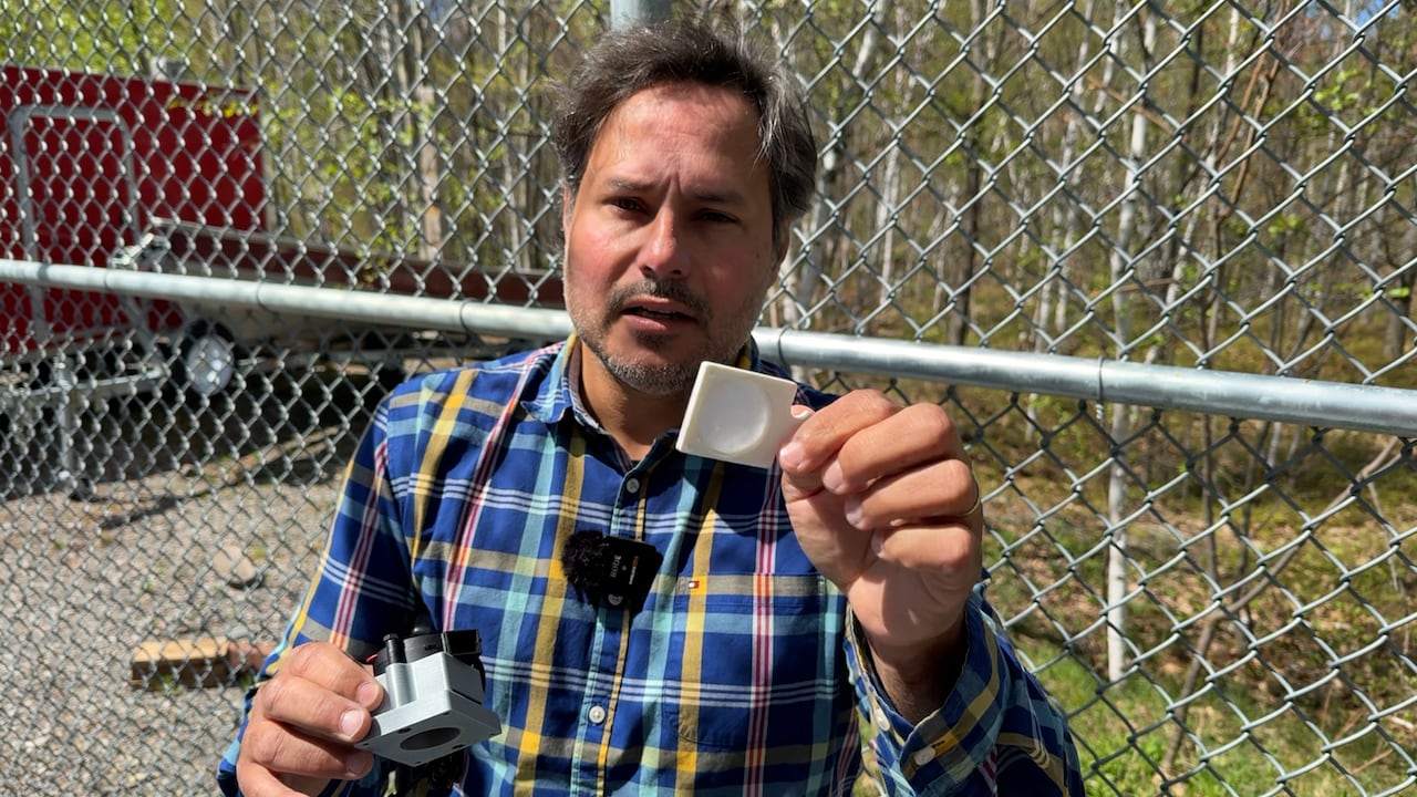 This Laurentian University entomologist is using honey bees to track ...