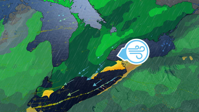 30-50 mm: Cold, heavy rain disrupts weekend plans in Ontario