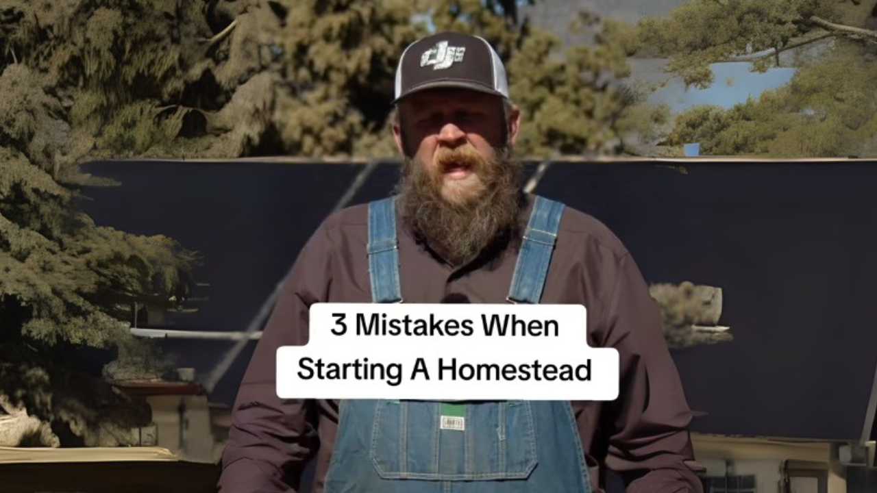 3 homesteading mistakes that cause failure