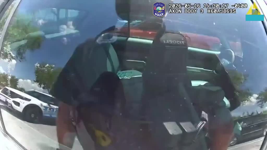 Puppy rescued from hot car in Florida parking lot