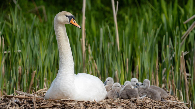 Your pictures of Scotland: 15 May - 22 May