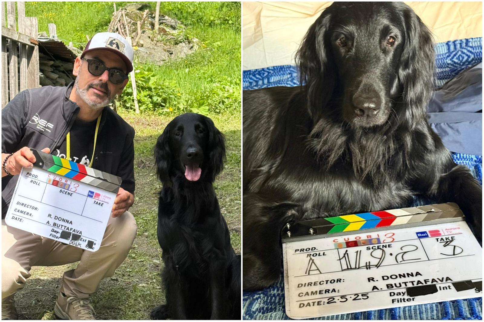 Olivia, la storia del cane (che viene da Modena) star di Cuori 3. "Ha ...