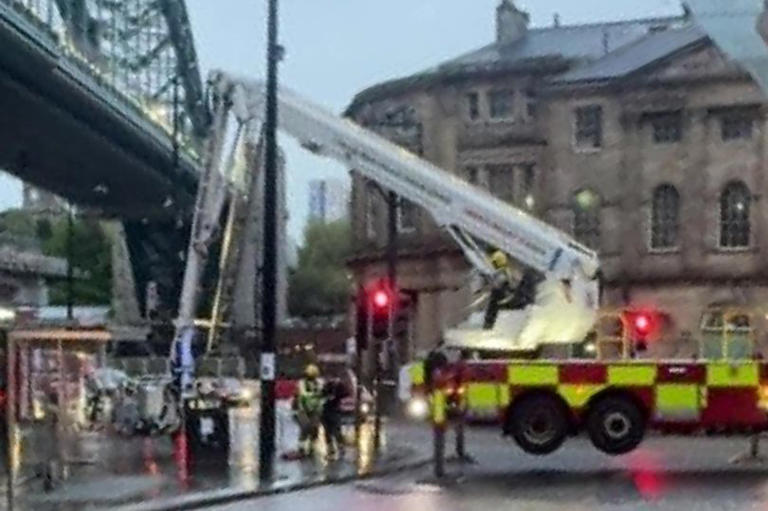 Firefighters descend on Newcastle Quayside to rescue kittiwakes from ...