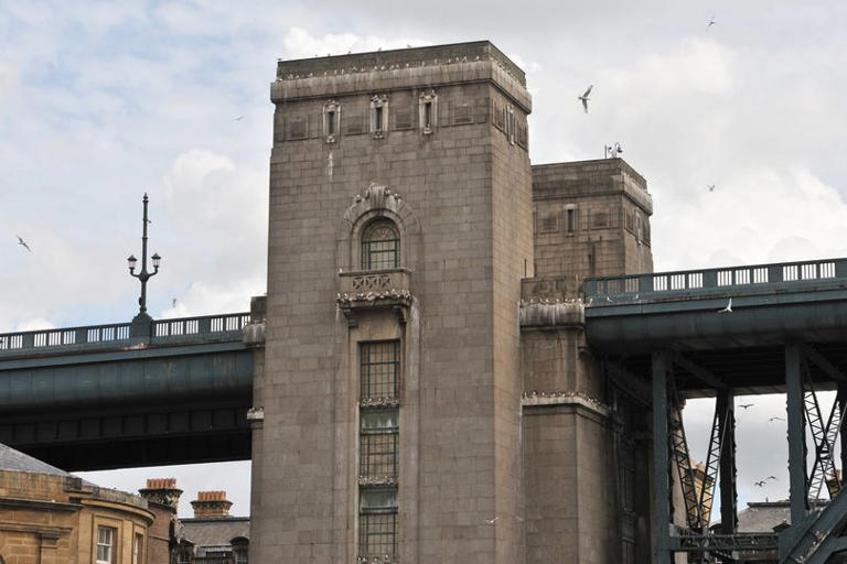 Firefighters descend on Newcastle Quayside to rescue kittiwakes from ...