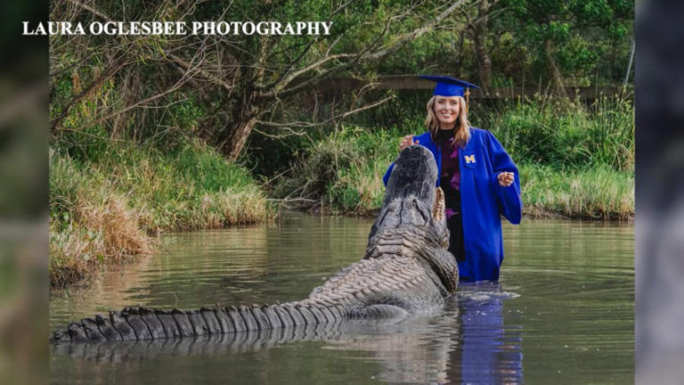 Louisiana graduate takes glamorous graduation photos with giant gators
