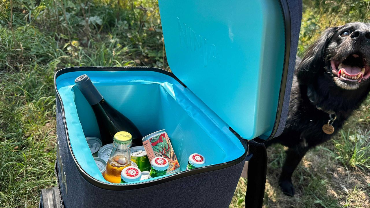 11 of the best coolers to keep your food and drinks chilled in the heat