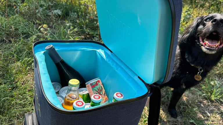 11 of the best coolers to keep your food and drinks chilled in the heat