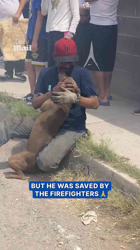 Man reunites with dog rescued from devastating house fire
