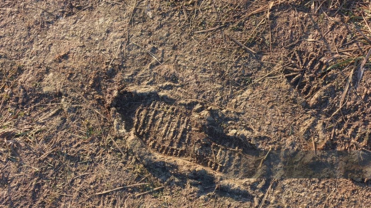 The first mistake landowners make after finding a stranger’s stand