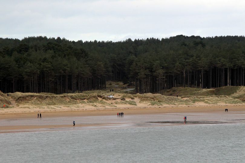 Idyllic Welsh beach where forest meets sea named 'prettiest in the UK'