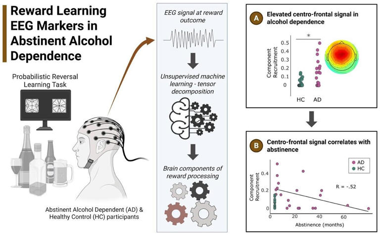 Study reveals brain changes linked to alcohol addiction recovery