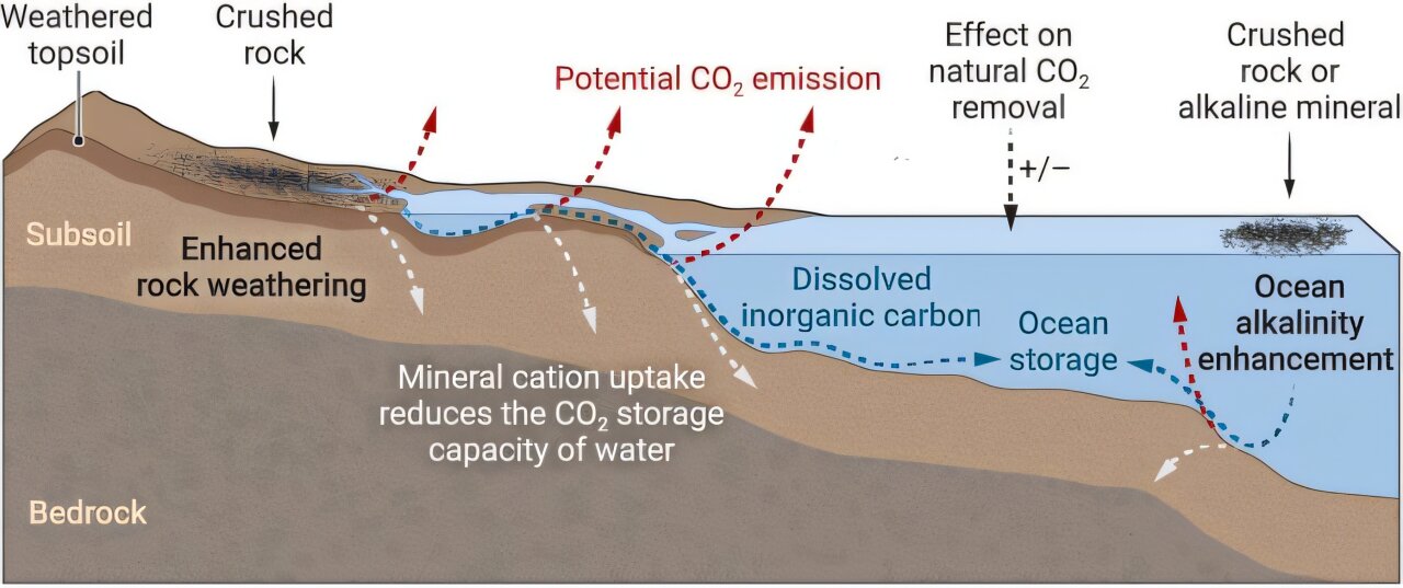 Some technologies use accelerated natural processes to capture carbon ...