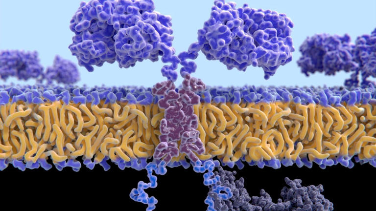 Protein-design AI has become a black box even its creators can't read ...