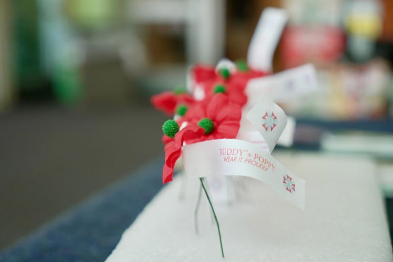 The state’s largest Buddy Poppy drive for veterans is underway in ...
