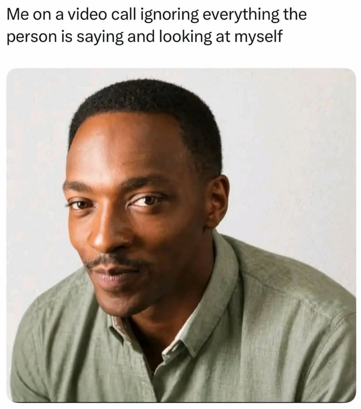'You're muted': 31 video call memes worth sharing on your next online ...
