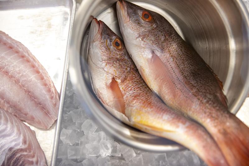Extended red snapper recreation fishing season in SC halted by court ...