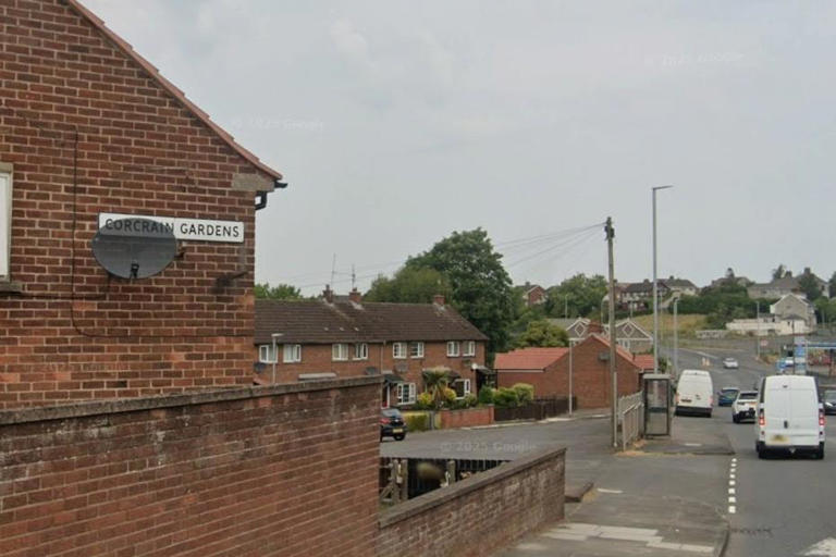 Councillors give green light for English-Irish street signs near Orange ...