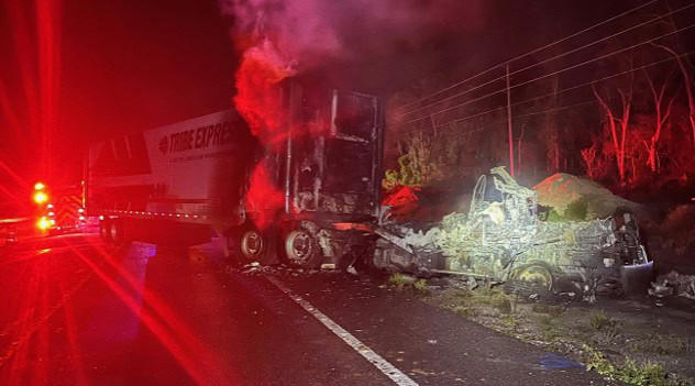 Zephyrhills driver killed in fiery Hernando County crash with Georgia ...