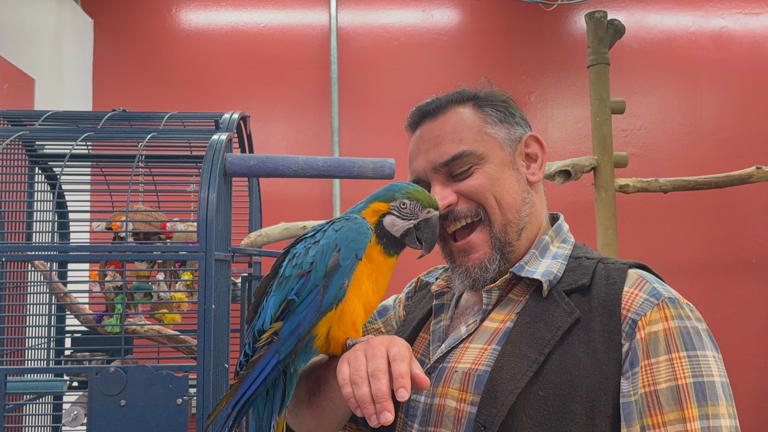 City ruling leaves dozens of endangered birds looking for a new home