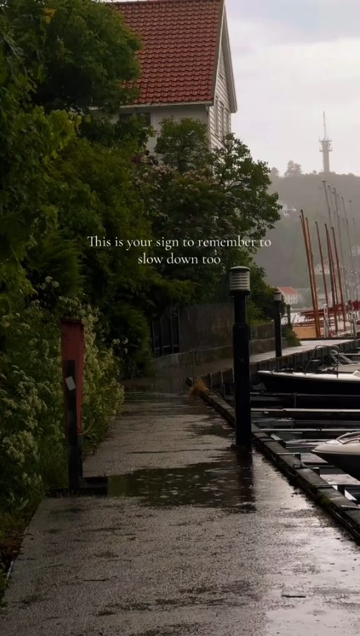 Take a deep breath with this peaceful rainy nature escape